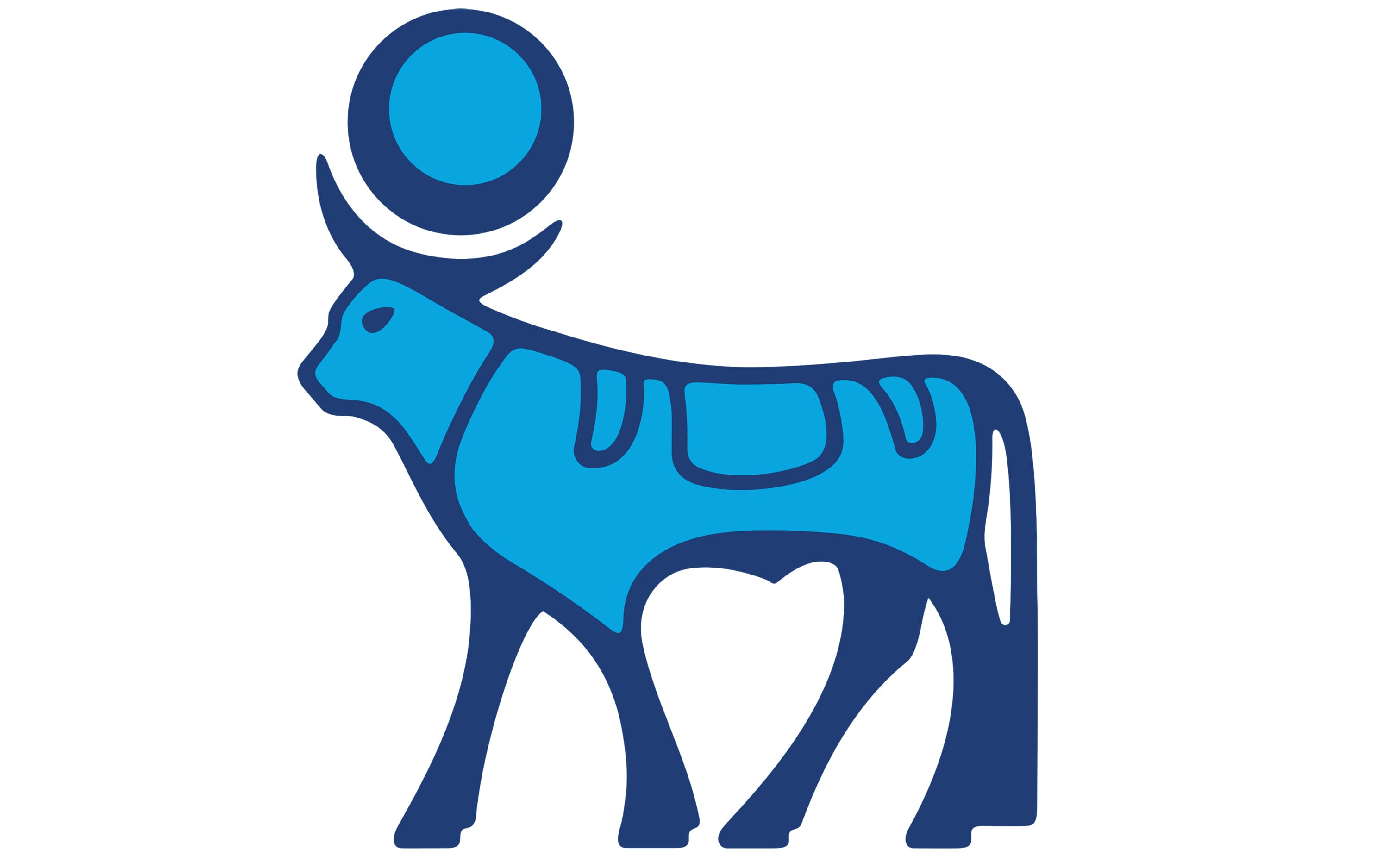 Novo Nordisk